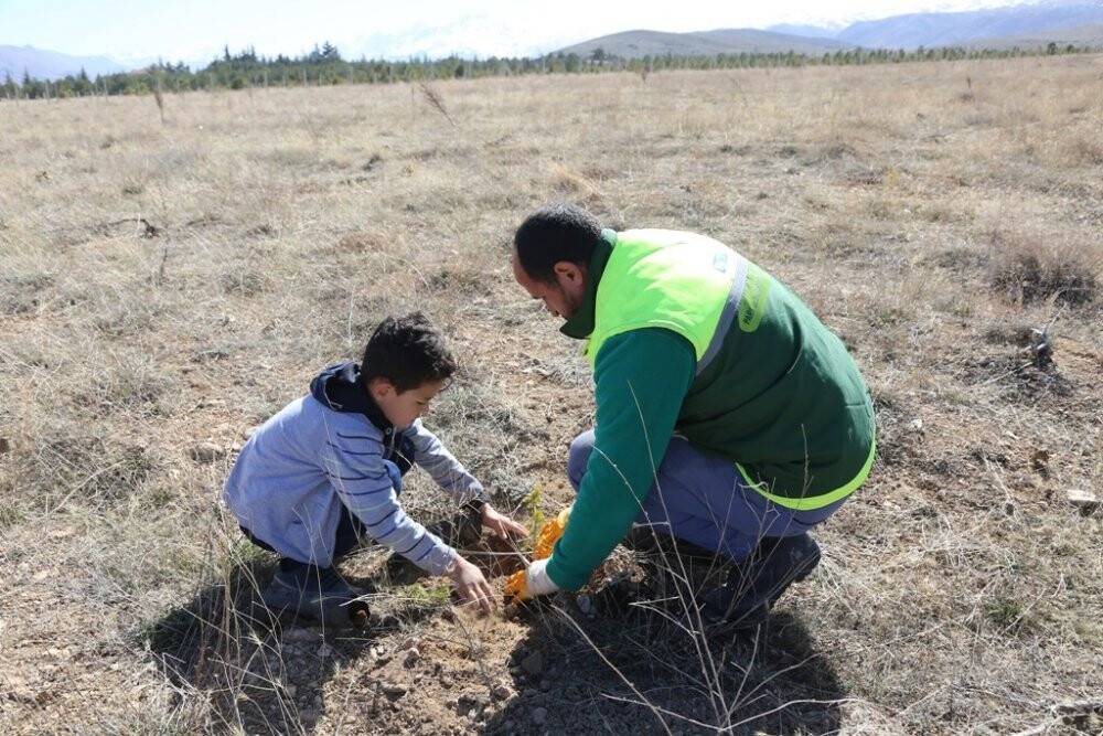 Minikler fidan dikti