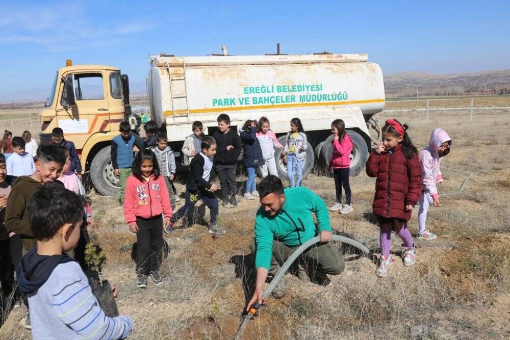 Minikler fidan dikti