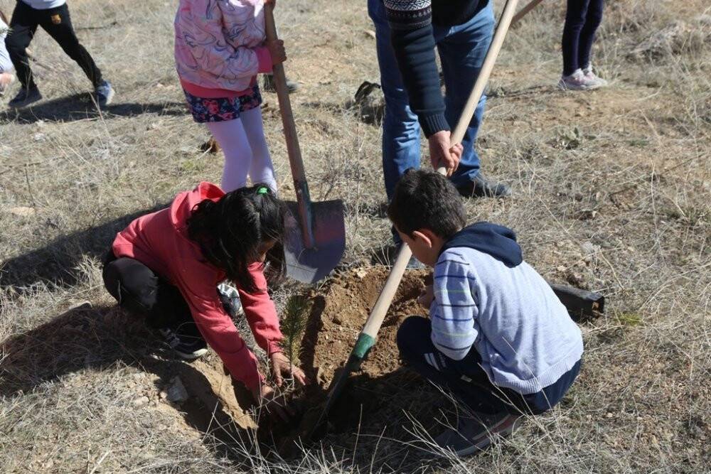 Minikler fidan dikti