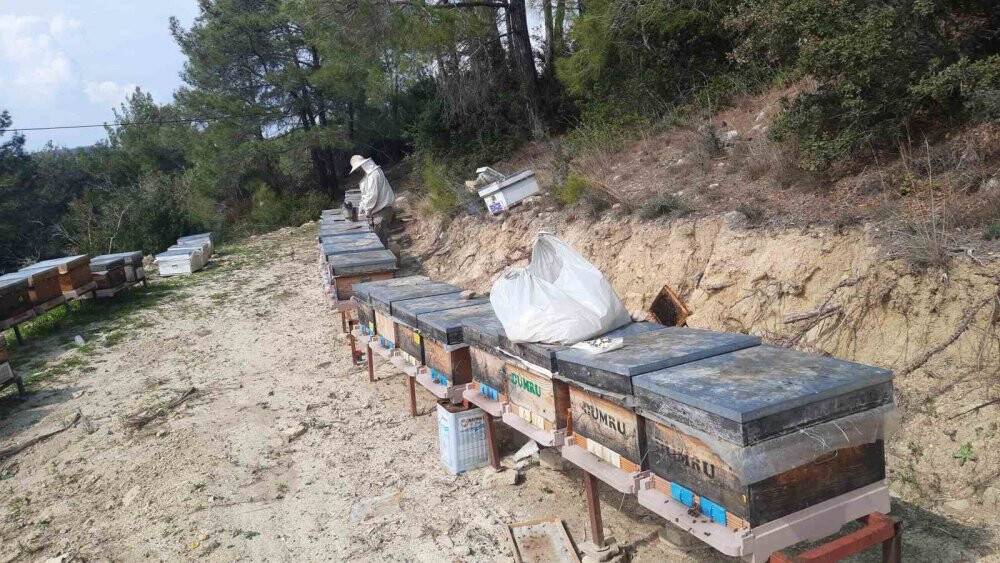 Konyalı arıcıların Toroslarda zorlu mesaisi