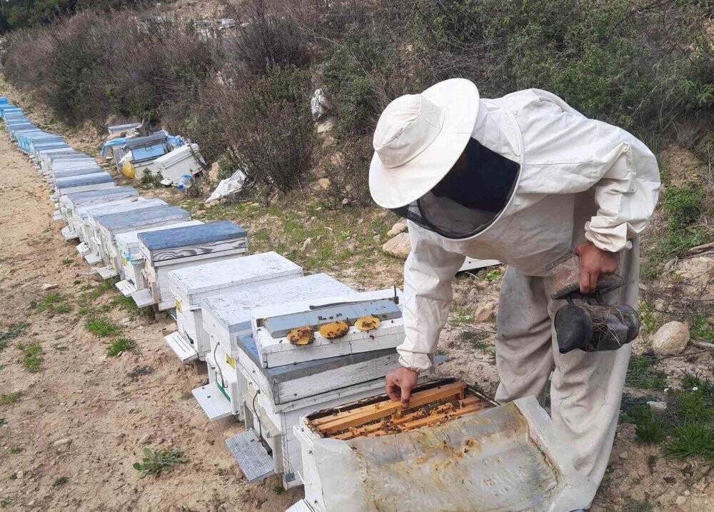 Konyalı arıcıların Toroslarda zorlu mesaisi