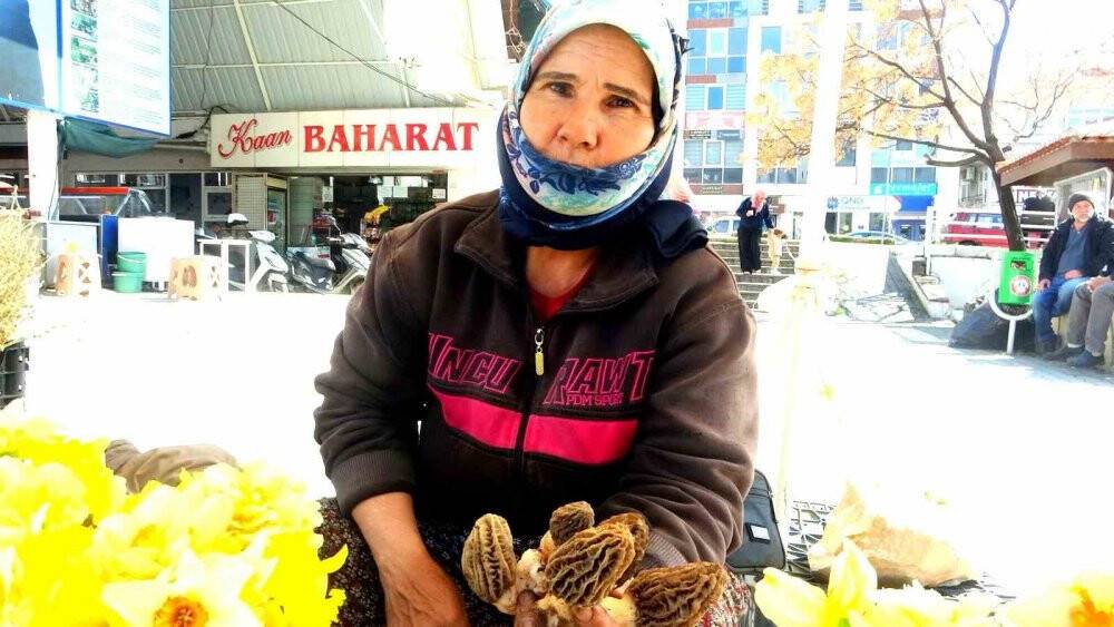 Mahallenin geçim kaynağı oldu: Fiyatı altınla yarışıyor