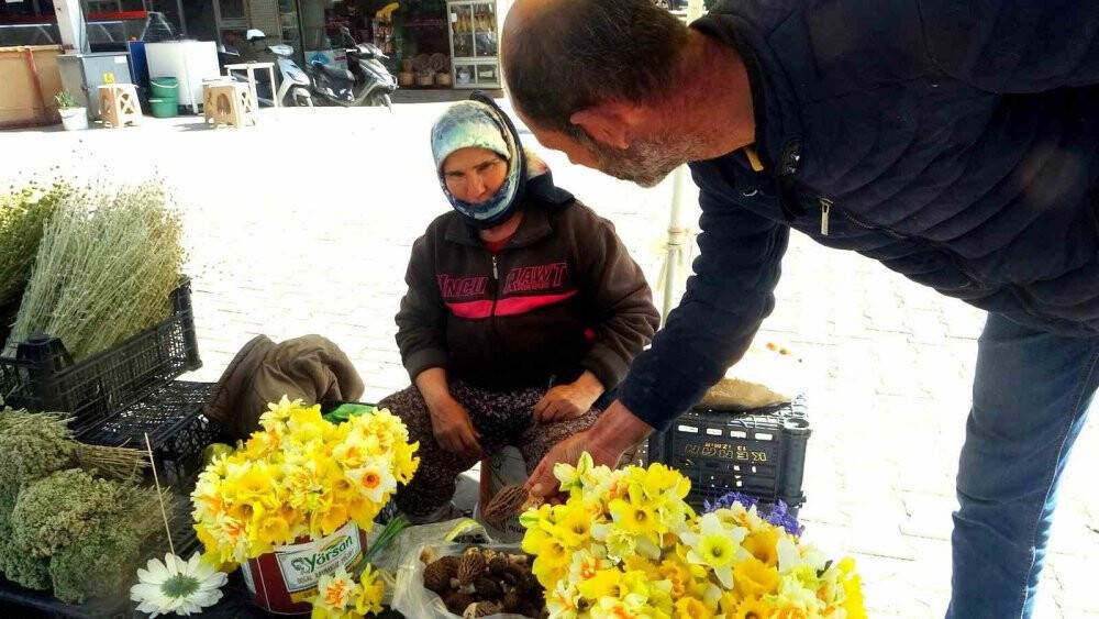Mahallenin geçim kaynağı oldu: Fiyatı altınla yarışıyor