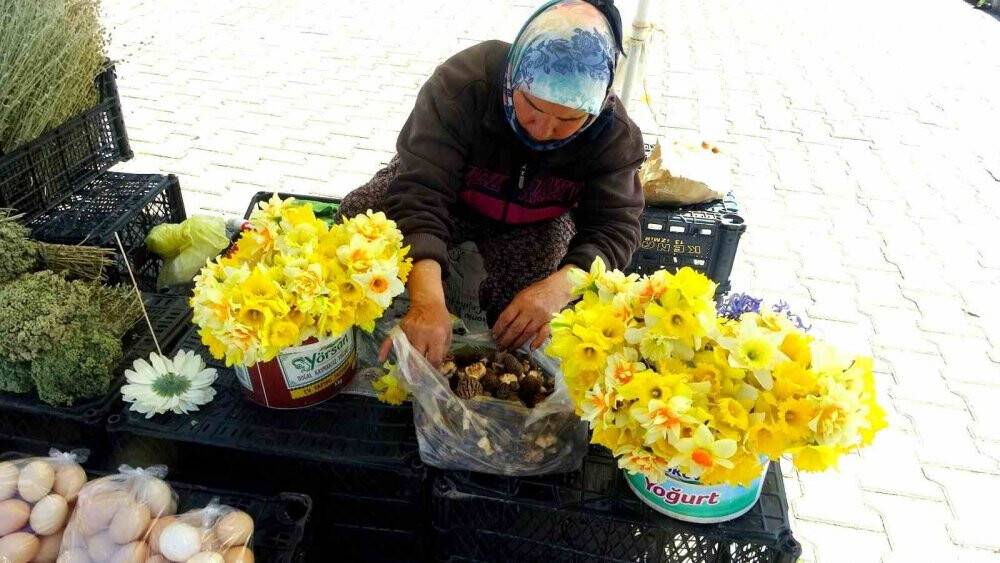 Mahallenin geçim kaynağı oldu: Fiyatı altınla yarışıyor