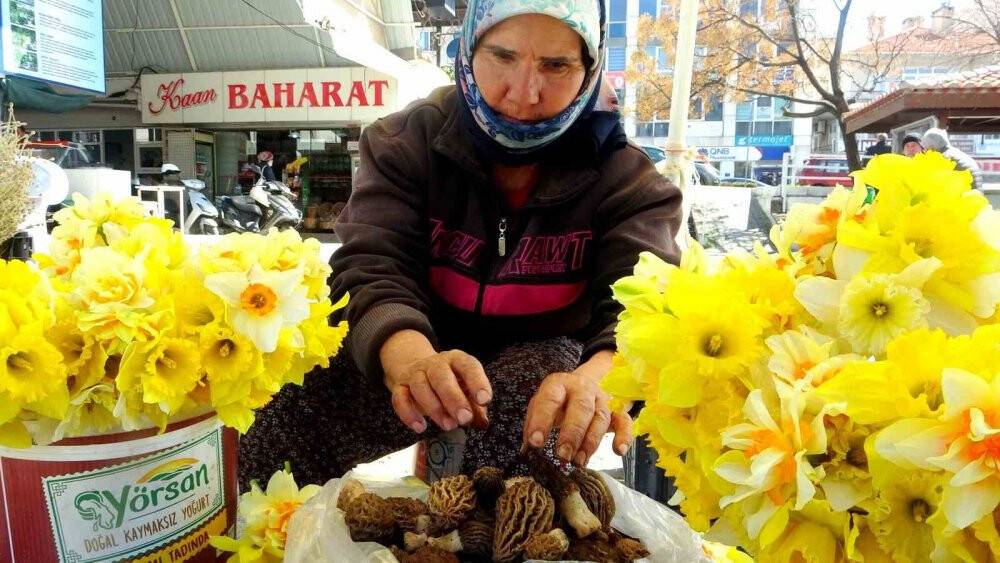 Mahallenin geçim kaynağı oldu: Fiyatı altınla yarışıyor