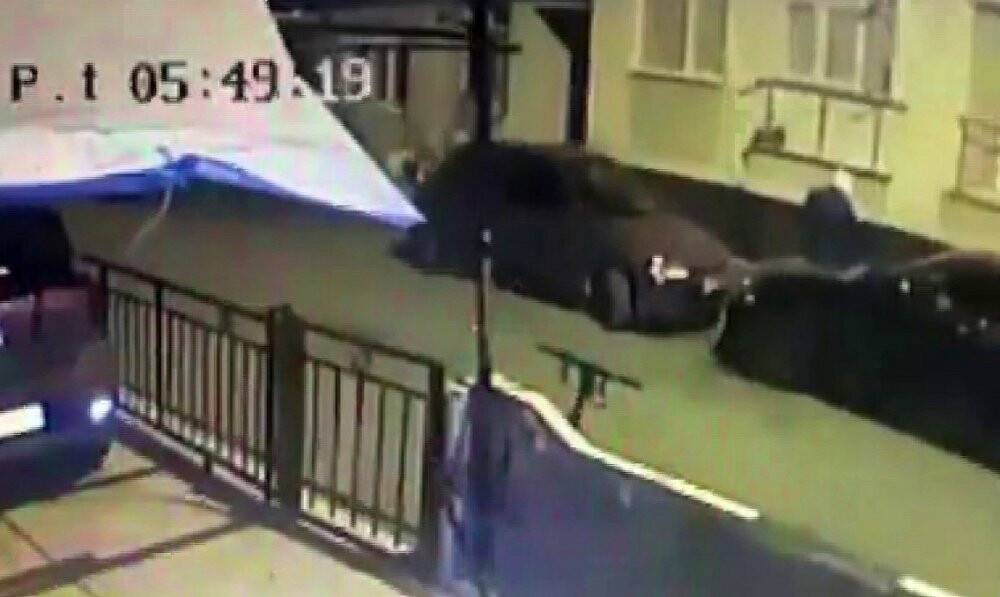 Dairenin camına bir paket yumurta atıp kaçtılar