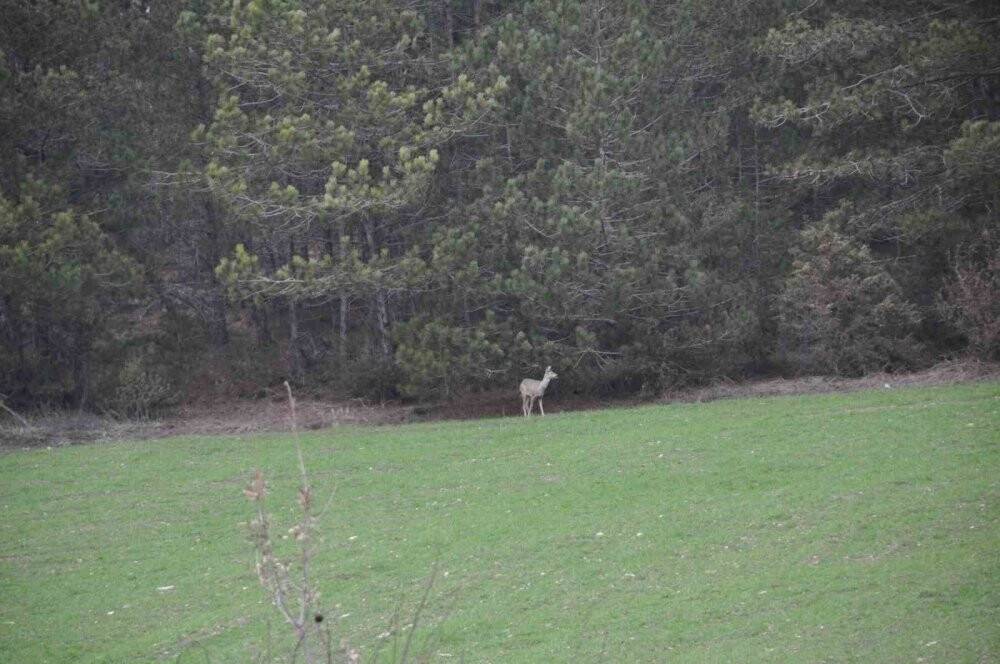Köylere kadar indiler