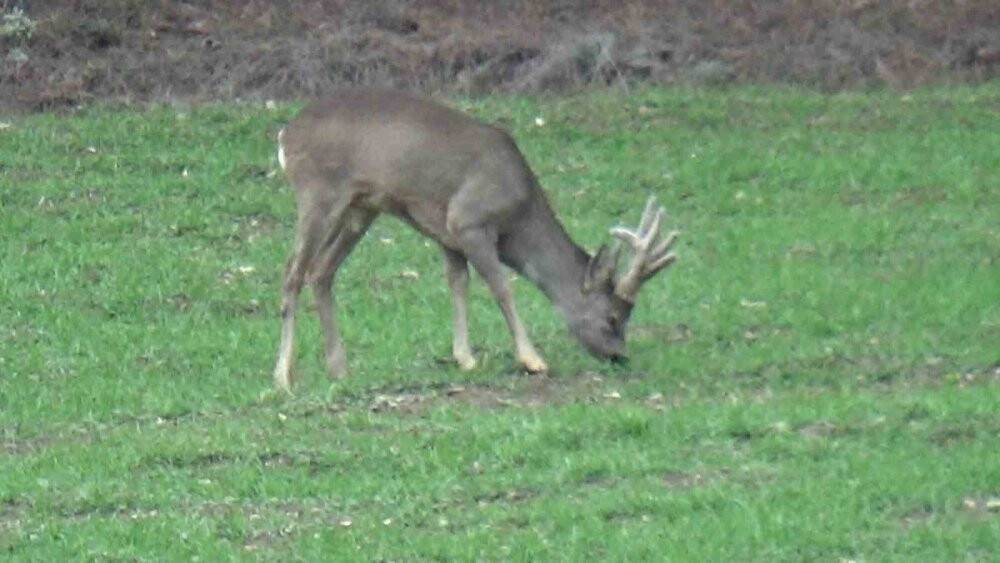 Köylere kadar indiler