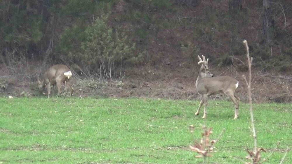 Köylere kadar indiler