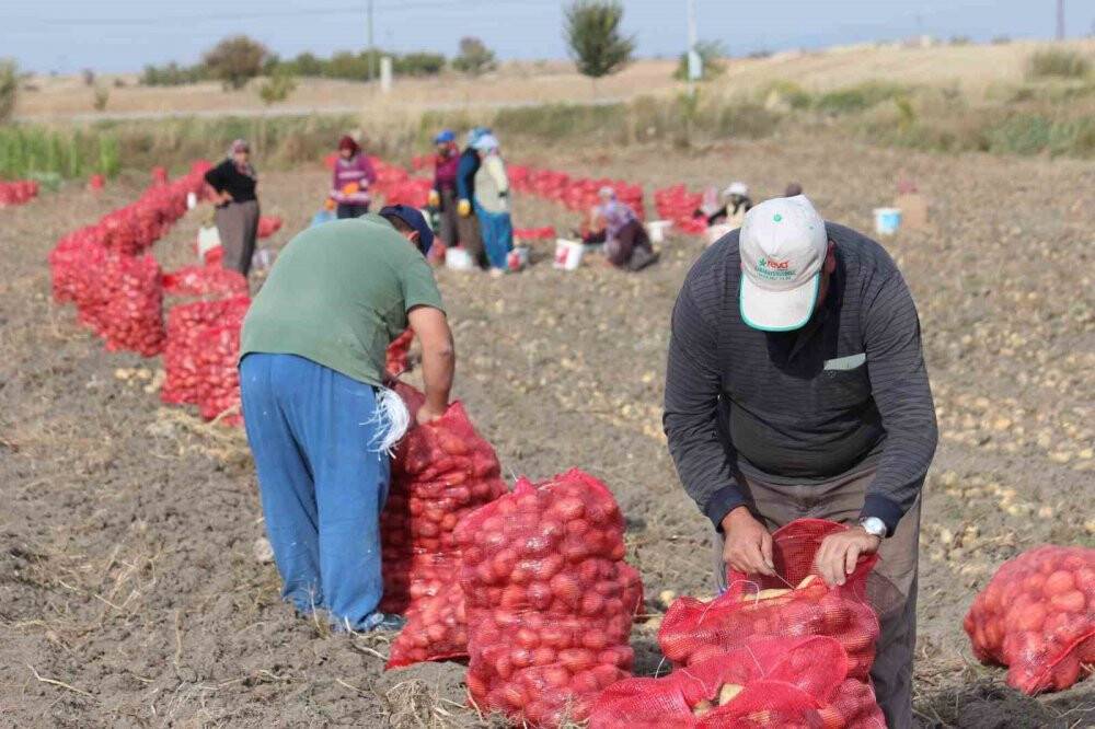 Hüyük’te tarımsal işçilerin  yevmiyeleri belli oldu