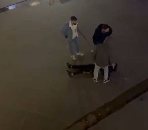 Şaka için serbest bırakılan pitbull çocuğa saldırdı