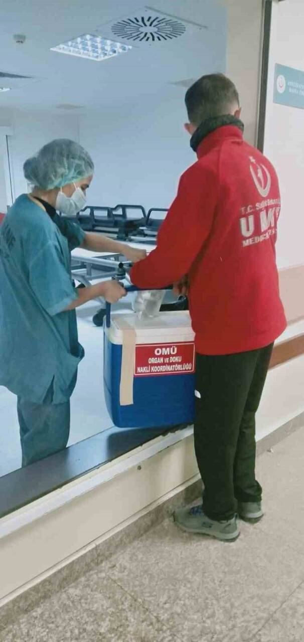 Ağacın altında kalarak ağır yaralanmıştı, organları hastalara umut oldu