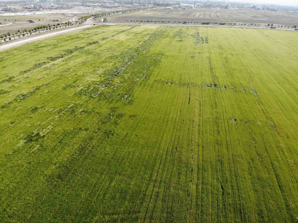 Olağanüstü kuraklık alarmı verilen Konya Ovası için uzman isimden güzel haber