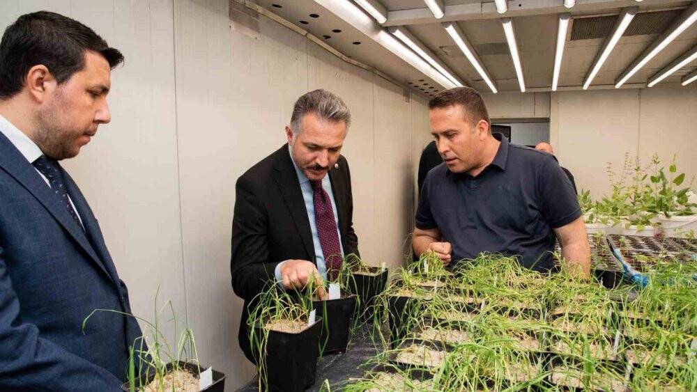 Rektör Aksoy, Ziraat Fakültesi laboratuvarlarında incelemelerde bulundu