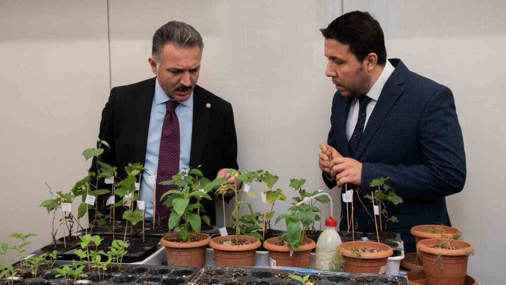 Rektör Aksoy, Ziraat Fakültesi laboratuvarlarında incelemelerde bulundu