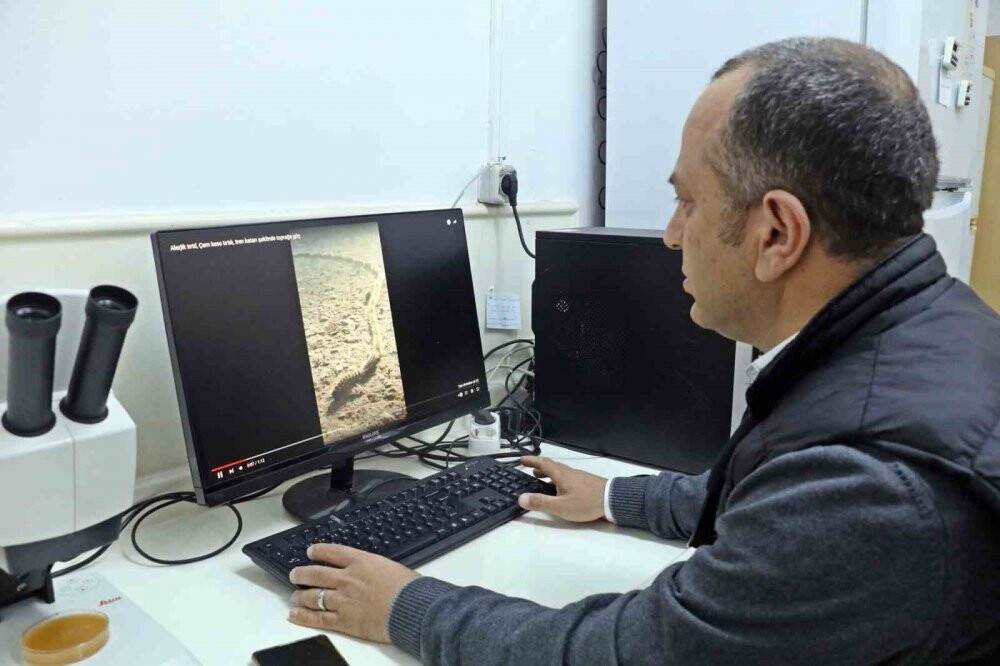 Bahçesindeki tırtılları süpürdü, hastanelik oldu