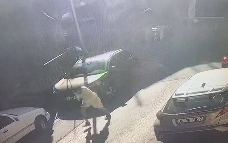 Brezilyalı modeli kargocu kılığında vurdular