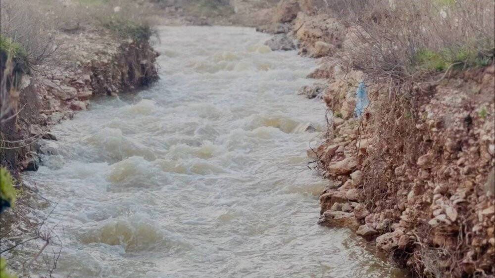 Binlerce yıllık derenin suyu ortadan kayboldu