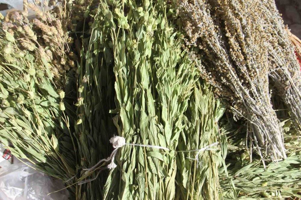 Anamas'tan  toplanan bitkiler rağbet görüyor