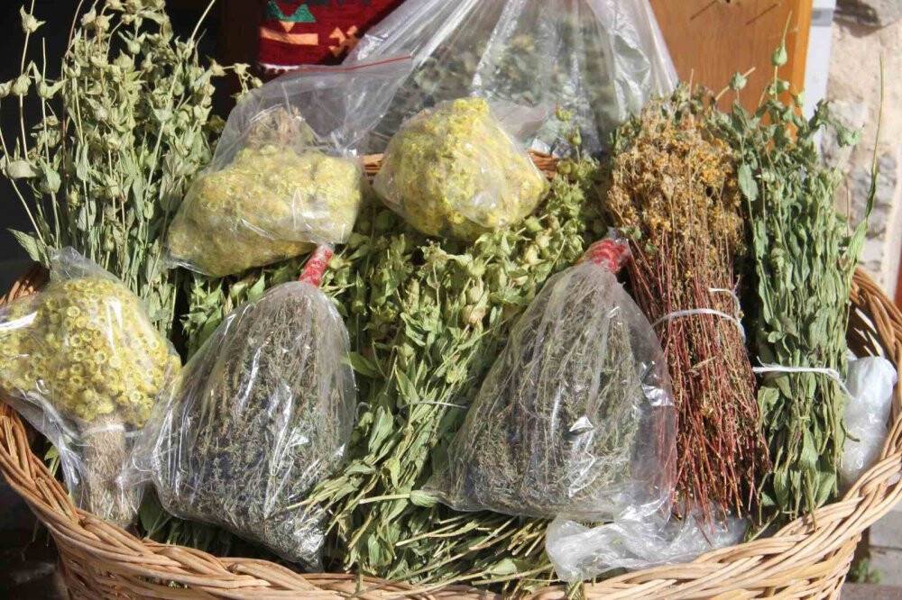 Anamas'tan  toplanan bitkiler rağbet görüyor