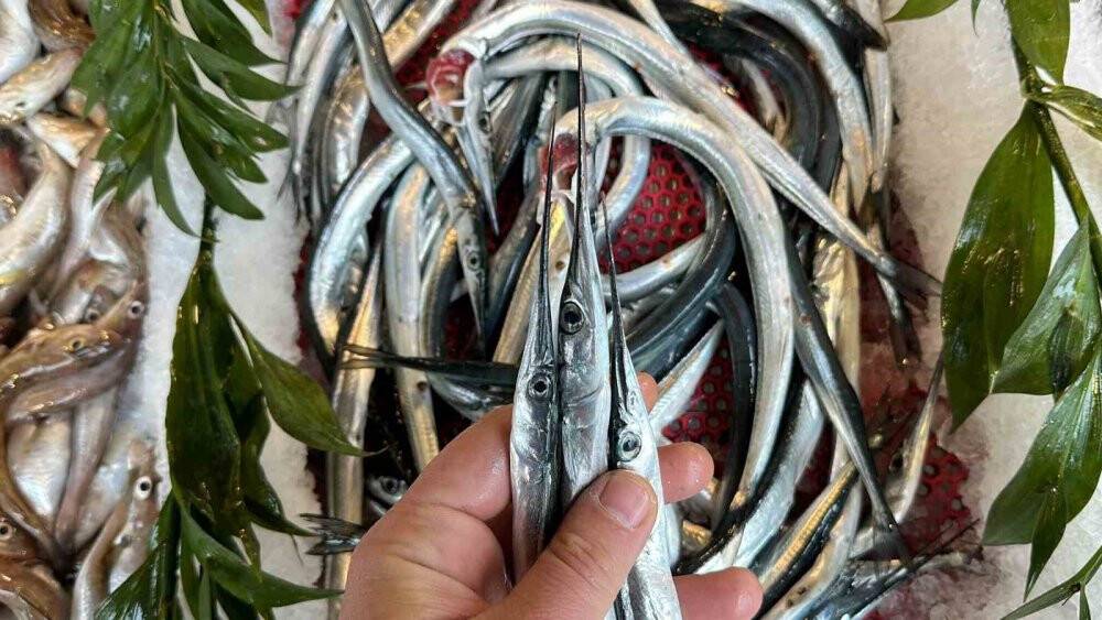 Fosforuyla ünlü balık tezgahlarda yerini almaya başladı