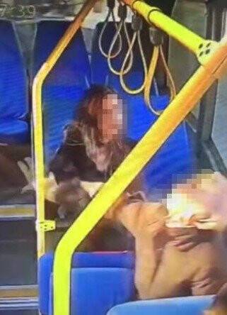 Minibüste iki kadının kavgası kameraya yansıdı