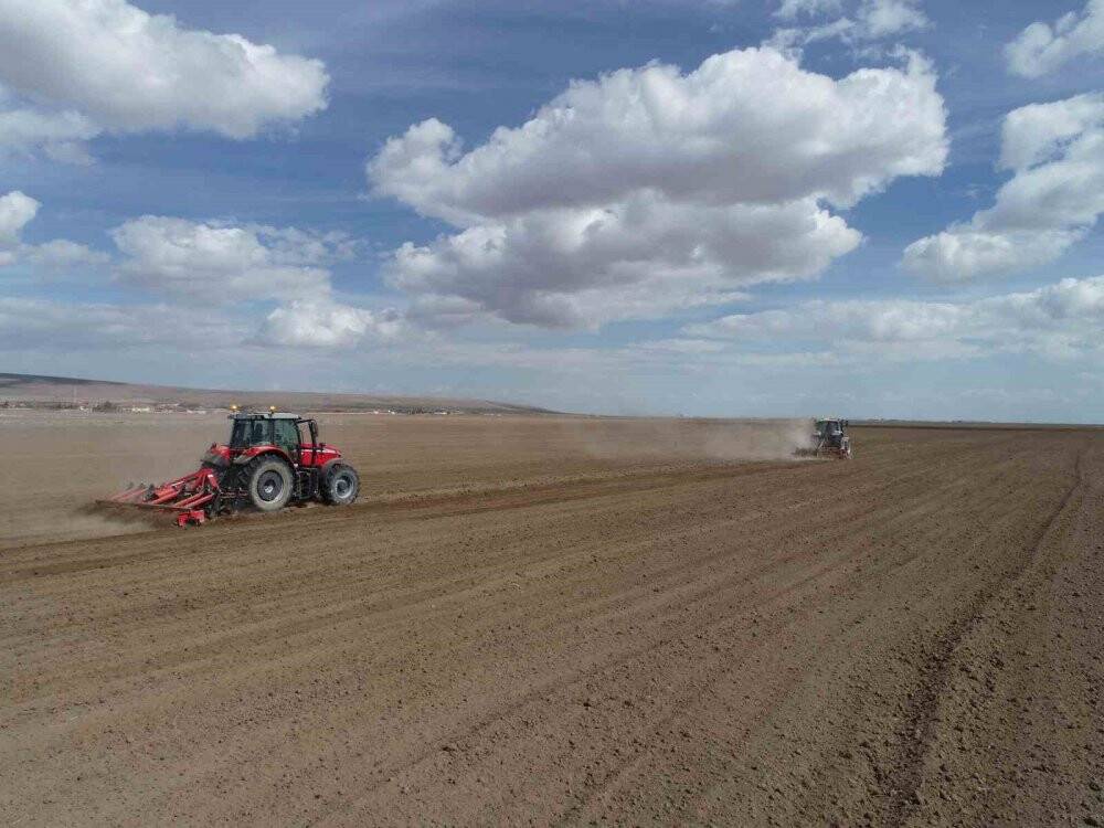 Konya Büyükşehir 800 bin metrekarelik araziye aspir bitkisi ekti