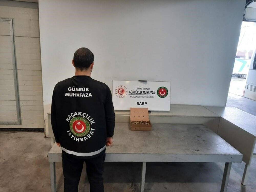 Sarp Sınır Kapısı’nda ele geçirildi! Karnındaki kutudan çıkanlar şaşırttı
