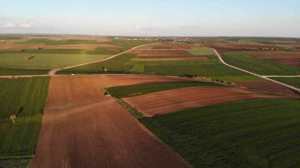 Edirne’de ayçiçeği ekim mesaisi başladı