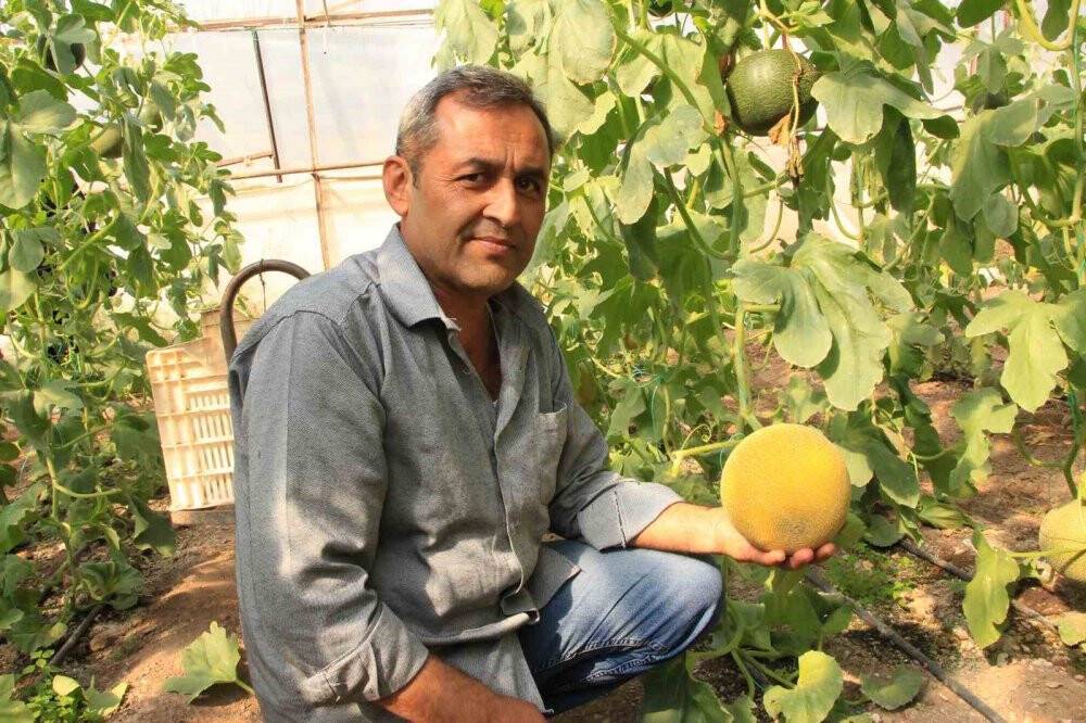 Havalar ılık gitti, üreticinin yüzü güldü