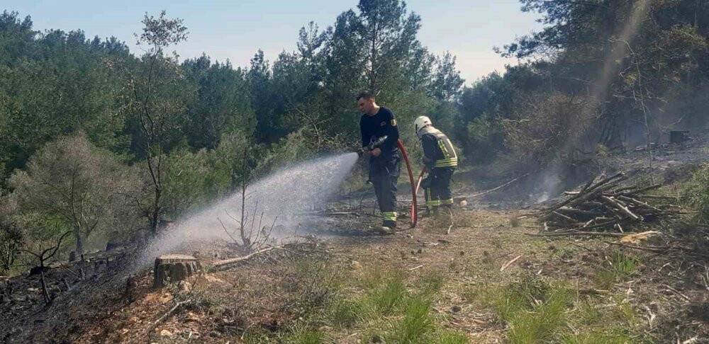 Temizlik ateşi ormanı yakıyordu
