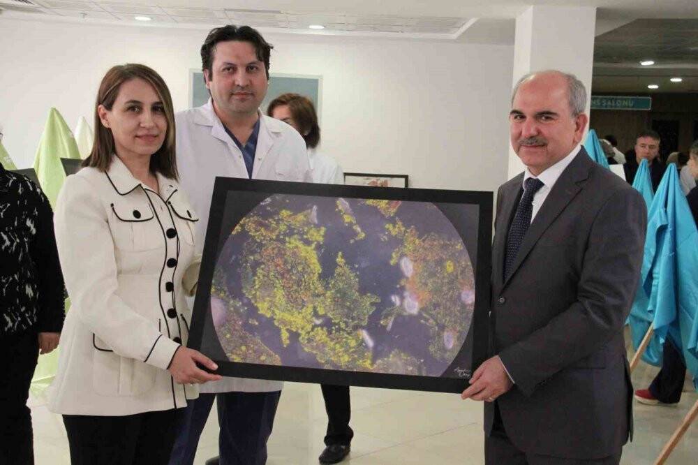 Hastalıklı dokular sanat eserine dönüştü