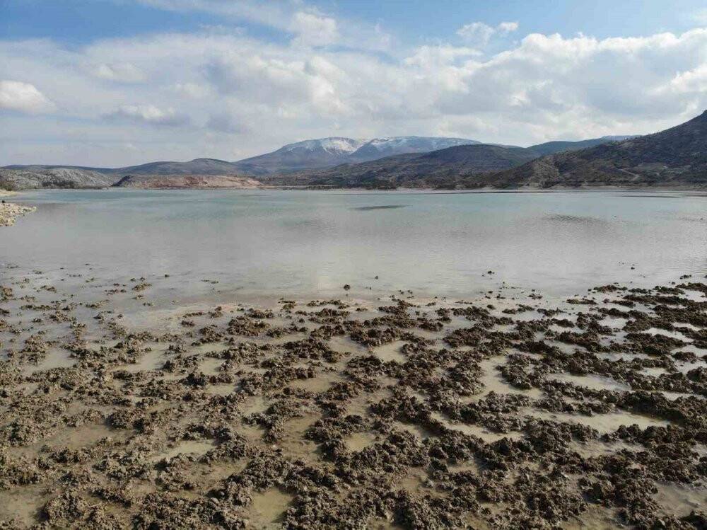 Olağanüstü kuraklık alarmı verilen Konya'da, barajlardaki doluluk oranı belli oldu! Yağış sürecek mi?