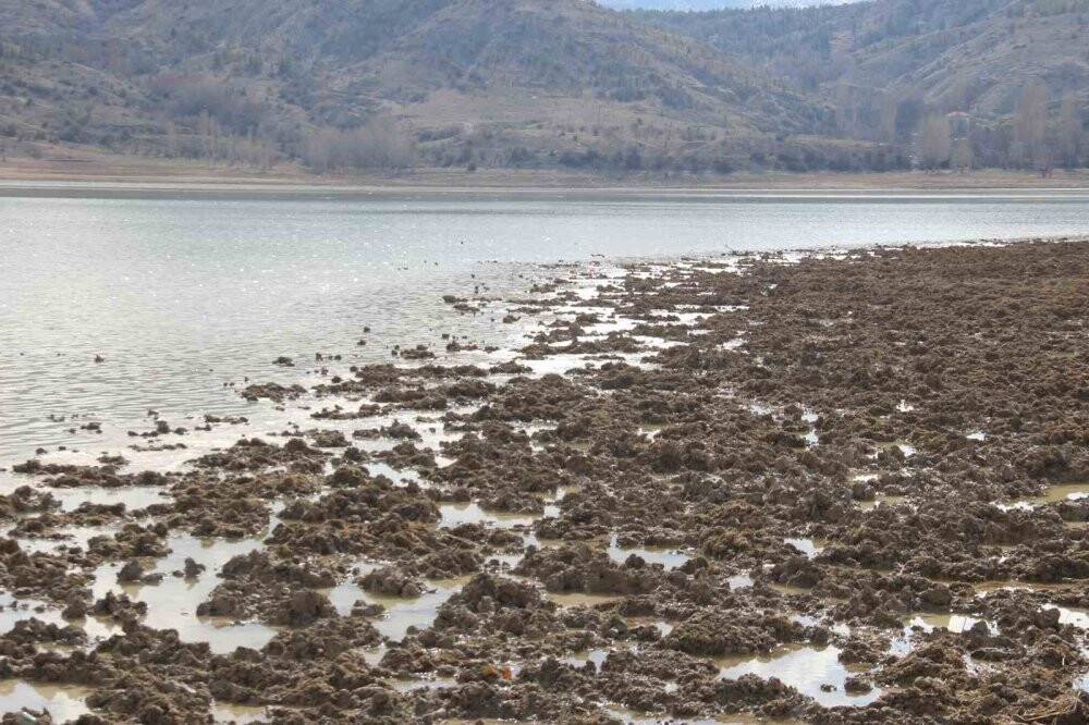 Olağanüstü kuraklık alarmı verilen Konya'da, barajlardaki doluluk oranı belli oldu! Yağış sürecek mi?