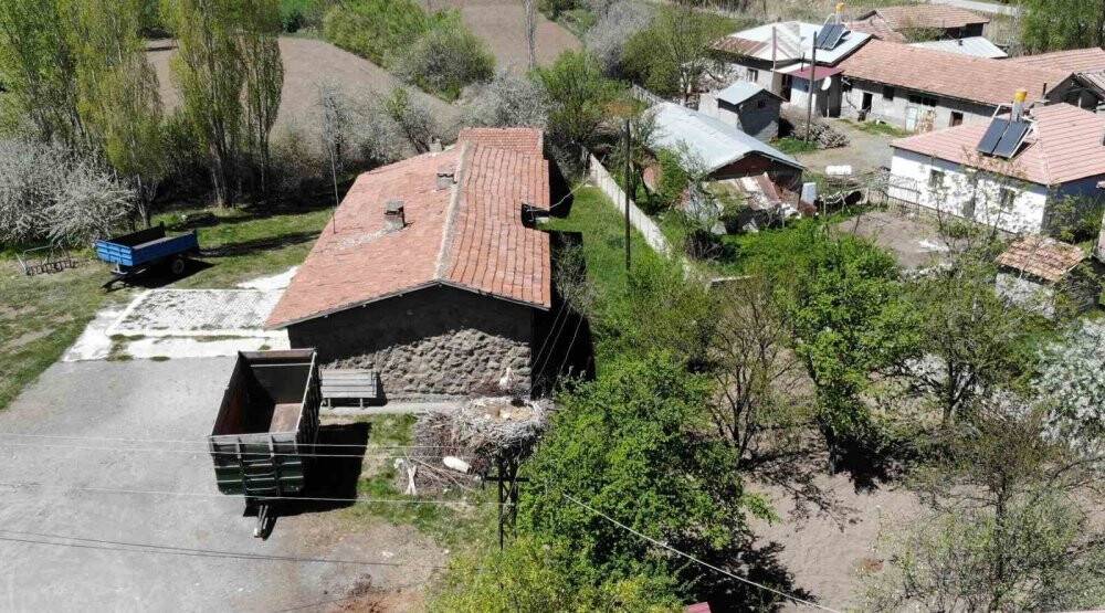 Leylek ailesine yaklaşık 20 yıldır ev sahipliği yapıyor