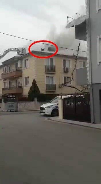 Yangında hayatını kaybeden itfaiye erinin düştüğü anlar kamerada