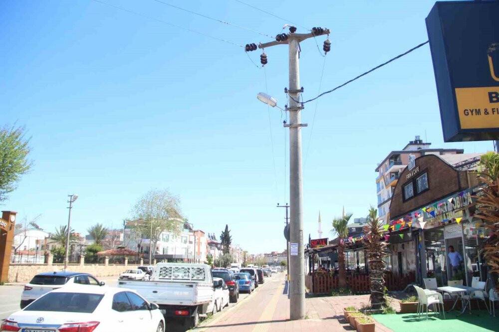 Elektrik telindeki papağan gençlerin sonları oluyordu: Alev ayaklarındançıktı!