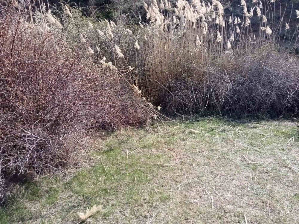 Başkentte dehşete düşüren olay, kafası parçalanmış halde bulundu