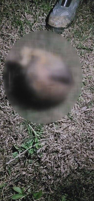 Başkentte dehşete düşüren olay, kafası parçalanmış halde bulundu