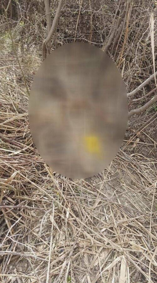 Başkentte dehşete düşüren olay, kafası parçalanmış halde bulundu