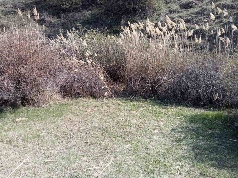 Başkentte dehşete düşüren olay, kafası parçalanmış halde bulundu