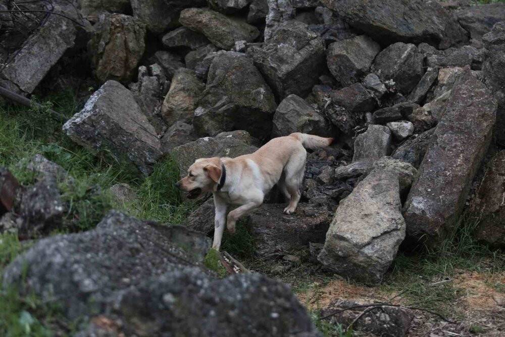 Depremin kahramanları...Böyle yetiştiriliyorlar