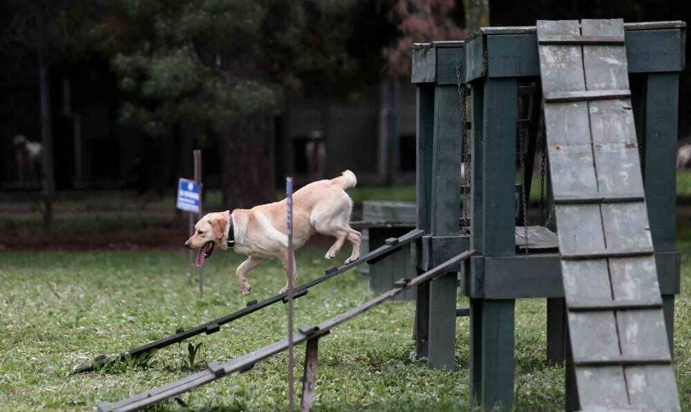 Depremin kahramanları...Böyle yetiştiriliyorlar