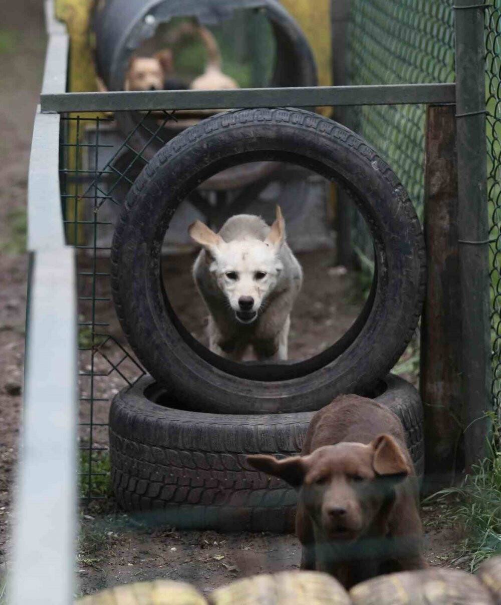 Depremin kahramanları...Böyle yetiştiriliyorlar