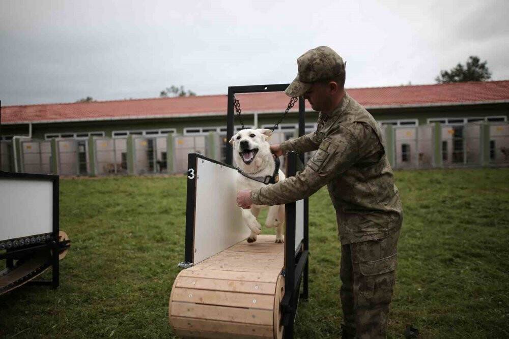 Depremin kahramanları...Böyle yetiştiriliyorlar