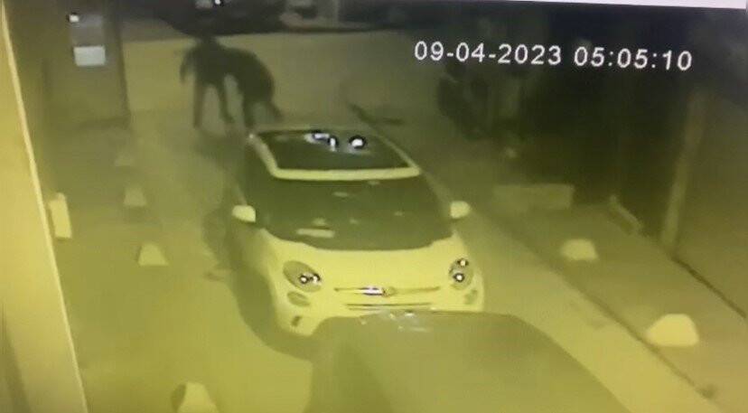 Babasına küfreden şahsı 5 yerinden bıçakladı