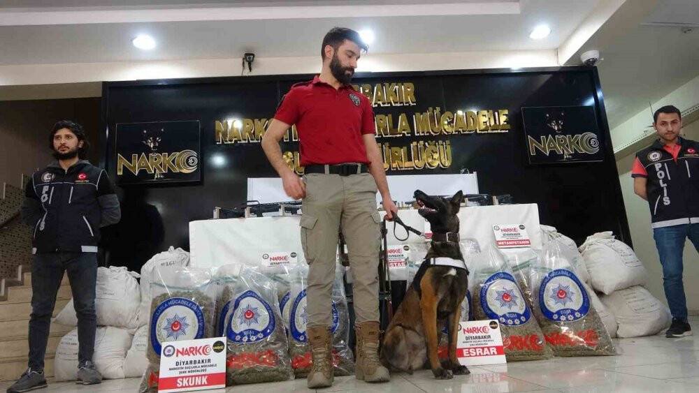 Diyarbakır’da ’Kökünü Kurutma Operasyonu: 133 tutuklama