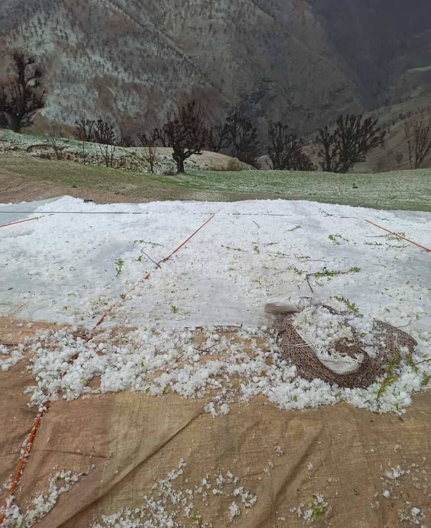 Ceviz büyüklüğünde dolu yağdı