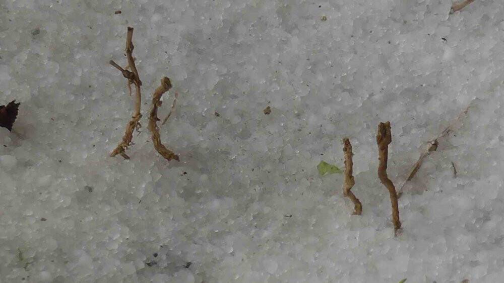 Konya’da dolu yağışı ardından güneşli hava etkili oldu