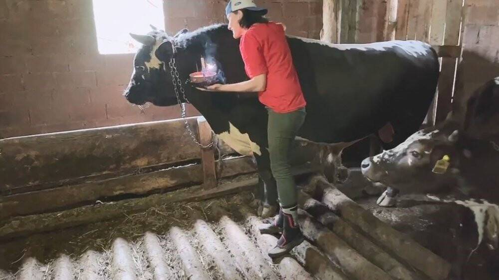 Fenomen boğasına doğum gününde sürpriz yaptı